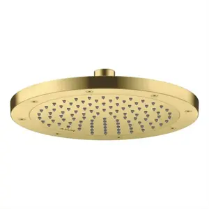 Axor, Pommeau de douche, ShowerSolutions pomme de douche 245, 1 type d... pas cher
