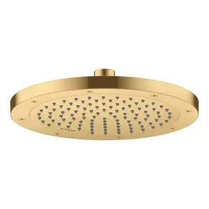 Axor, Pommeau de douche, ShowerSolutions pomme de douche 245, 1 type d... pas cher