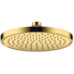 hansgrohe, Pommeau de douche, HG douche de tête AXOR 220, 1 jet poli o... pas cher
