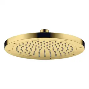Axor, Pommeau de douche, ShowerSolutions pomme de douche 245, 1 type d... pas cher