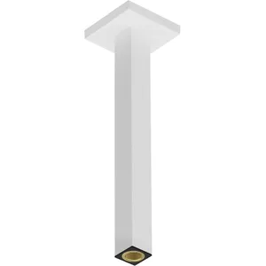 hansgrohe, Système de douche, raccord de plafond E, 30 cm, 24339 pas cher