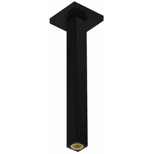 Hansgrohe Toebehoren - Douchearm plafond, 31 cm, mat zwart 24339670 pas cher