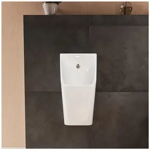 hansgrohe, Cuvette toilettes + bidet, EluPura Original Q urinoir, sans bord de chasse, SmartClean, HygieneEffect, arrivée à la pas cher