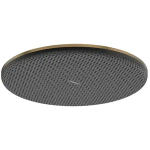 Hansgrohe Raindance Alive S - Hoofddouche, diameter 30 cm, EcoSmart, g... pas cher