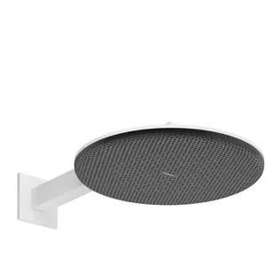 hansgrohe, Pommeau de douche, Raindance Alive S Douche de tête 300 2je... pas cher