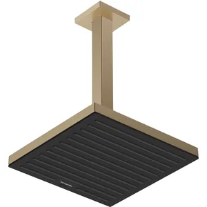 hansgrohe, Système de douche, raccord de plafond E, 30 cm, 24339 pas cher