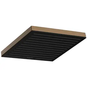 Hansgrohe Pulsify E - Hoofddouche, 26x26 cm, EcoSmart+, geborsteld bro...
