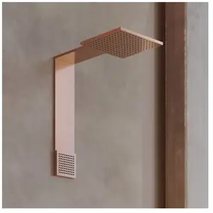 hansgrohe, Pommeau de douche, AXOR ShowerComposition module de douche 250/250, 2jet, avec douchette dépaule, saillie 48 (2 Types de jets, 21.60 l/min) pas cher