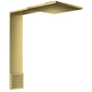 hansgrohe, Pommeau de douche, AXOR ShowerComposition module de douche 250/250, 2jet, avec douchette dépaule, saillie 48 (2 Types de jets, 21.60 l/min) pas cher