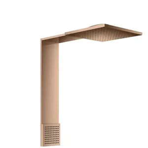 hansgrohe, Pommeau de douche, AXOR ShowerComposition module de douche 250/250, 2jet, avec douchette dépaule, saillie 48 (2 Types de jets, 21.60 l/min)