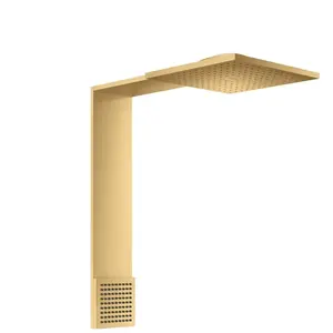 hansgrohe, Pommeau de douche, AXOR ShowerComposition module de douche 250/250, 2jet, avec douchette dépaule, saillie 48 (2 Types de jets, 21.60 l/min)