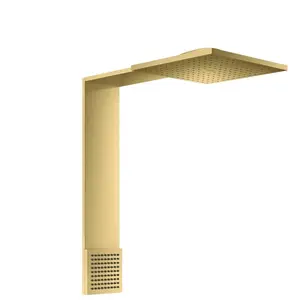 hansgrohe, Pommeau de douche, AXOR ShowerComposition module de douche 250/250, 2jet, avec douchette dépaule, saillie 48 (2 Types de jets, 21.60 l/min) pas cher