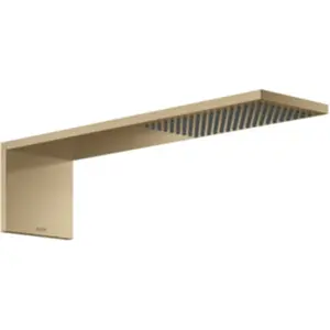 hansgrohe, Pommeau de douche, AXOR ShowerComposition module de douche de tête 110/220, 1jet, saillie 425mm, 12592 (1 Types de jets, 11.20 l/min)
