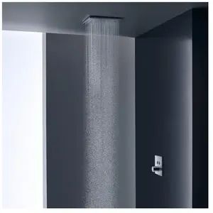 Axor, Pommeau de douche, Douche de tête 300/300 2jet Montage plafond apparent chromé (2 Types de jets, 19 l/min) pas cher
