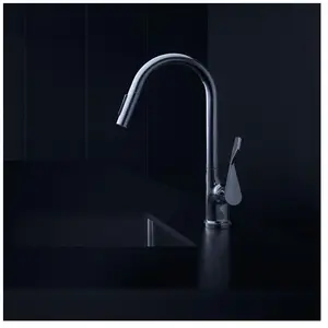 hansgrohe, Robinetterie de cuisine, Axor Citterio Mitigeur monocommandé pour cuisine 250, douchette extractible Eco, 39832