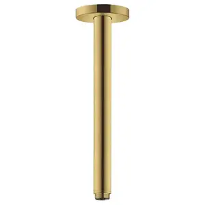 Hansgrohe Raindance e douchearm plafond 30cm polished gold optic pas cher
