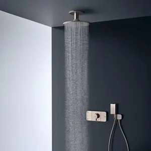 Axor, Pommeau de douche, Soffione doccia Hansgrohe ShowerSolutions 300...