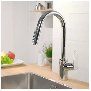 Comparateur de prix : Hansgrohe Mitigeur évier FOCUS avec douchette extractible + sBOX - Focus 240 SBOX - Mitigeur cuisine Ht.411mm - Saillie 220mm - - 73880000 -