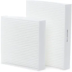 Ridex Filtre D'habitacle Peugeot,Citroen,Ds 424i0091 1609428080,160942... pas cher