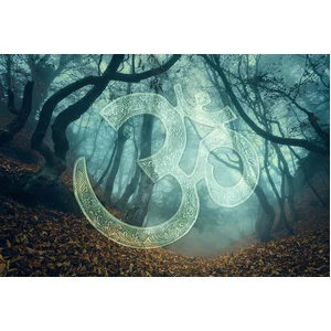 Fotobehang SymbolForest1 DD117775 A.S. Création Atelier 47 | Fotobehan... pas cher