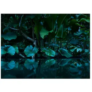 Fotobehang Tropical DD118796 A.S. Création Designwalls | Goedkoop fotobehang pas cher