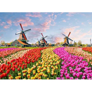Fototapete Zaanse Schans DD118694 A.S. Création Designwalls | Jetzt Fototapeten günstig kaufen