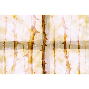 Fotobehang ThornArt1 DD117850 A.S. Création Atelier 47 | 3D Fotobehang pas cher