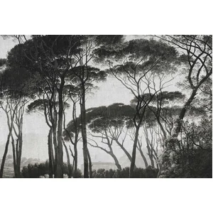 Fotobehang Treetops1 DD117875 A.S. Création Atelier 47 | Fotobehang on... pas cher