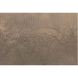 Fotobehang ThornHedge1 DD117920 A.S. Création Atelier 47 | 3D Fotobeha...