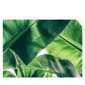 Fotobehang BrokenLeaf1 DD118552 A.S. Création Designwalls | Fotobehang pas cher