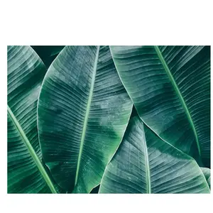 Fotobehang BananaLeaves1 DD118560 A.S. Création Designwalls | 3D Fotobehang op maat pas cher