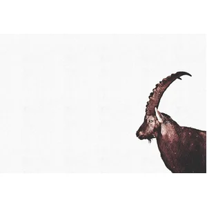 Fotobehang CapricornSnow DD119813 A.S. Création ARTist Bruin Wit Vlies...