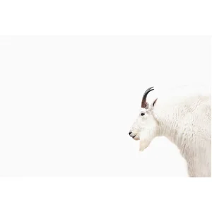 Fotobehang MountainGoat DD119809 A.S. Création ARTist Grijs Wit Vlies ... pas cher