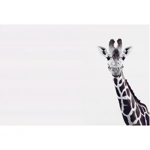 Fotobehang GiraffePotrait DD119817 A.S. Création ARTist Zwart Antracie... pas cher
