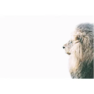 Fotobehang LioninSnow DD119801 A.S. Création ARTist Beige Creme Wit Vl...