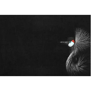 Fotobehang CrownedCraneBlack DD119805 A.S. Création ARTist Zwart Antra... pas cher