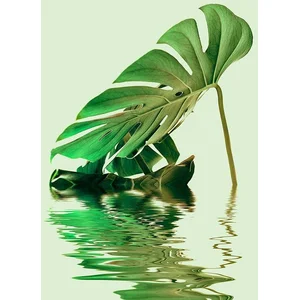 Fotobehang MonsteraLeafWater2 DD119793 A.S. Création ARTist Groen Vlie...