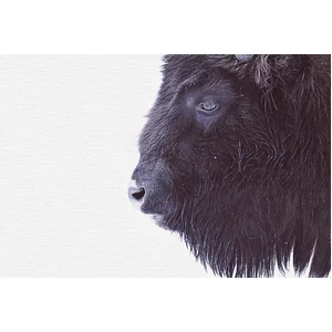 Fotobehang BlackBuffalo DD119797 A.S. Création ARTist Zwart Antraciet ...