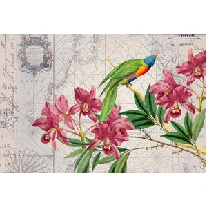 Fotobehang BirdDiscovery1 DD119717 A.S. Création ARTist Groen Roze Vli...