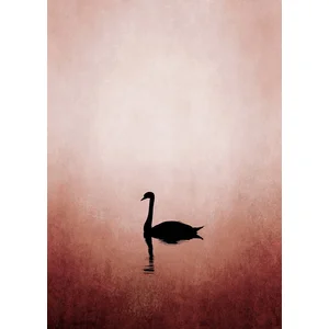 Fotobehang SwanLake DD119917 A.S. Création ARTist Roze Zwart Antraciet... pas cher