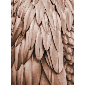 Fotobehang Feathers1 DD119841 A.S. Création ARTist Beige Creme Bruin V...