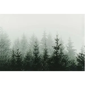 Fotobehang MountainForest DD119873 A.S. Création ARTist Groen Wit Vlie...