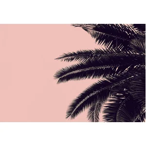 Fotobehang PalmTree DD119877 A.S. Création ARTist Roze Zwart Antraciet... pas cher