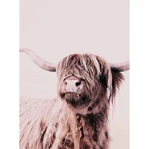 Fotobehang HighlandCattle1 DD119821 A.S. Création ARTist Beige Creme V...