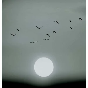 Fotobehang WinterLights DD119929 A.S. Création ARTist Grijs Zwart Antraciet Vlies 280 x 200 cm (2 Teile) Goedkoop fotobehang