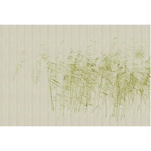 Fotobehang atthepond1 DD122052 Livingwalls Walls by Patel 3 Groen Beig... pas cher