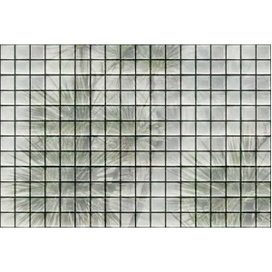 Fotobehang greenhouse1 DD122072 Livingwalls Walls by Patel 3 Groen Wit... pas cher