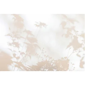 Fotobehang shadowroom1 DD122016 Livingwalls Walls by Patel 3 Beige Cre... pas cher