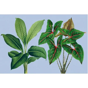 Fotobehang leafgarden1 DD121948 Livingwalls Walls by Patel 3 Groen Bla... pas cher