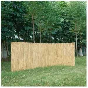 CASA.PRO Canisse en roseau Abbateggio 160 x 600 cm naturel pas cher